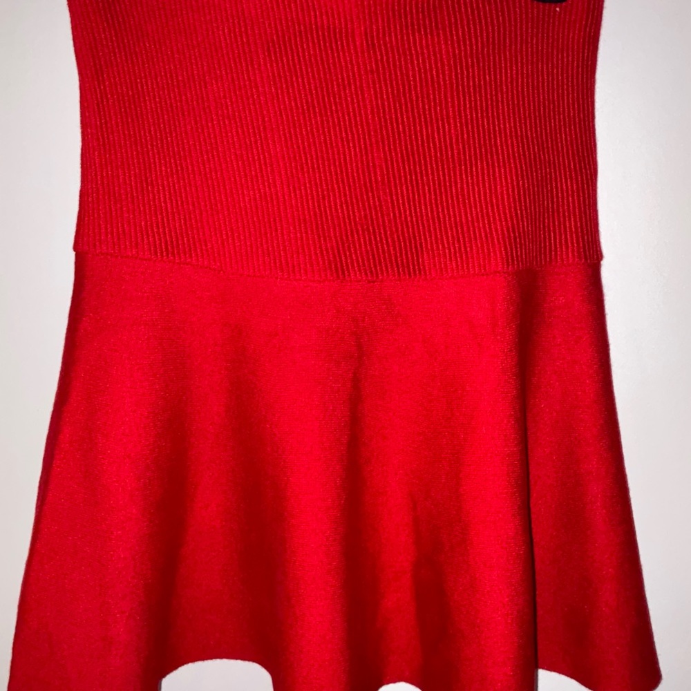 Zara basic skater skirt